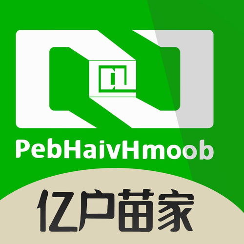 云南億戶苗家信息技術有限公司 深耕經濟信息咨詢，助力區域發展